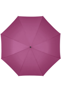 Rain Pro Stick Umbrella
