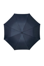 Load image into Gallery viewer, Rain Pro Stick Umbrella

